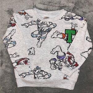 Nickelodeon Gray Sweatshirt with Ninja Turtle Design